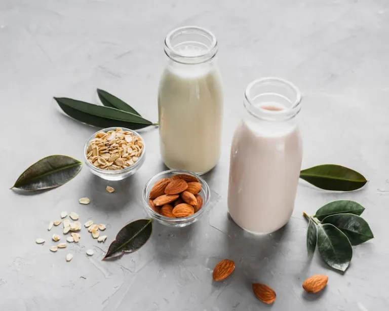 leche vegetal