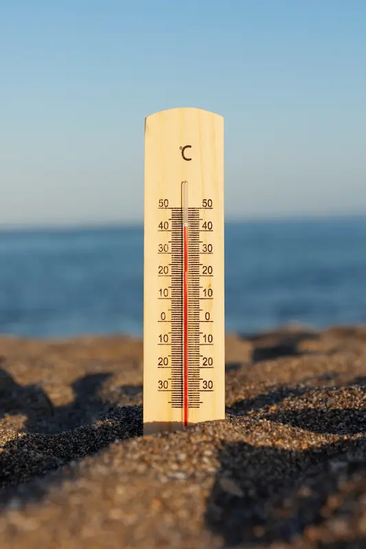 alimentos para bajar el calor corporal