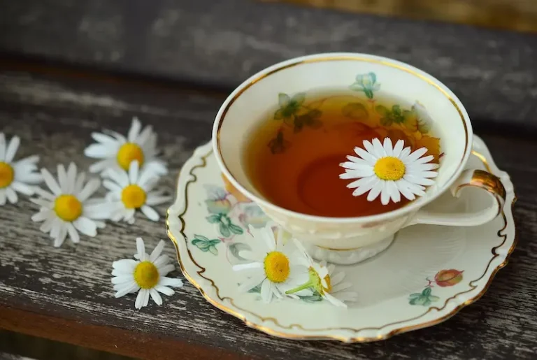infusiones para dormir