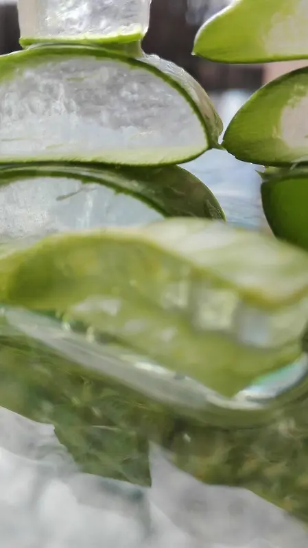 té de aloe vera